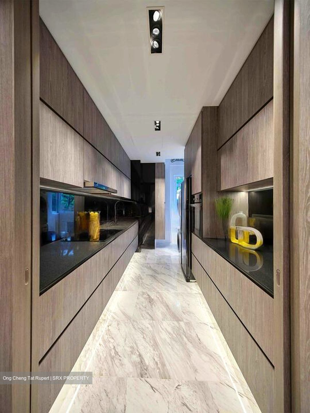 Leedon 2 (D10), Condominium #446687091
